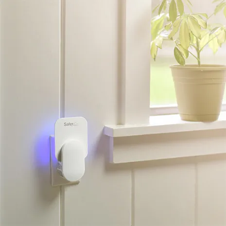 Shashel for Safe Indoor Pest Elimination